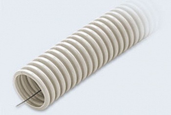    d16    (100) 